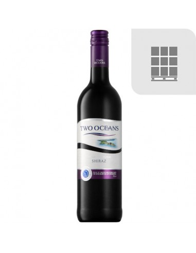 Pallet (120 CS) - Two Oceans Shiraz -...